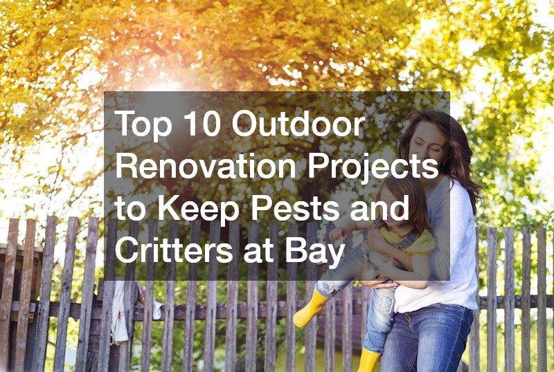 Top 10 Outdoor Renovation Projects to Keep Pests and Critters at Bay